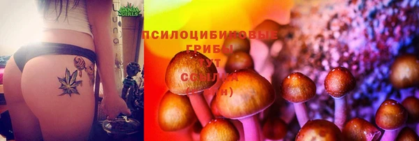 марки lsd Аркадак